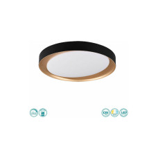 Trio Lighting Zeta Πλαφονιέρα Οροφής Μαύρη από Μέταλλο