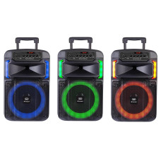 TREVI Trolley speaker XF-370 Φορητό ηχοσύστημα